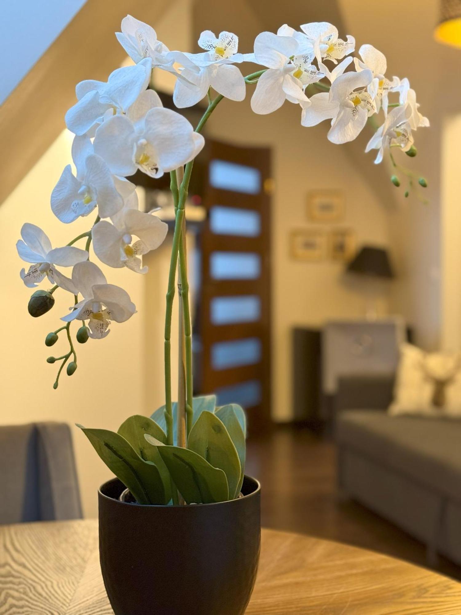 Apartament Glamour I Закопане Экстерьер фото